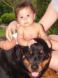 album de familia
