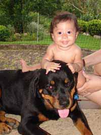 album de familia