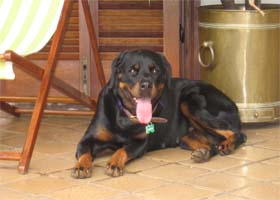 album de familia