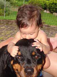 album de familia